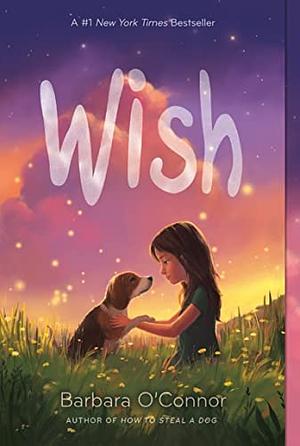 Wish by Barbara O'Conner