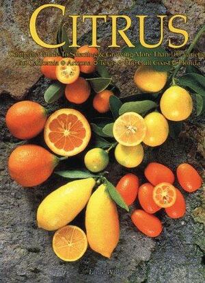 Citrus by Lance Walheim
