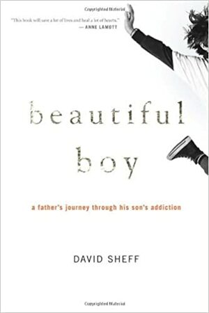 Beautiful Boy: A Father's Journey Through His Son's Addiction by David Sheff