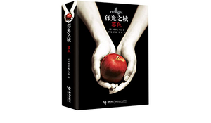 Twilight: The Twilight Saga by Stephenie Meyer