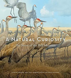 A Natural Curiosity: The Story of the Bell Museum by Lansing Shepard, Don Luce, Gwen Schagrin, Barbara Coffin