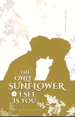 The Only Sunflower I See Is You (Vol. 3): A Chinese BL Novel by Bai Bai