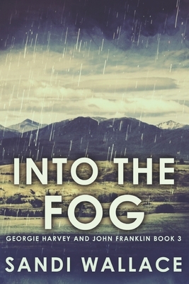 Into The Fog: Large Print Edition by Sandi Wallace