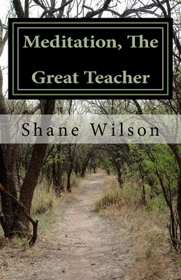 Meditation, The Great Teacher: "The Practice of Going Within" by Shane Wilson