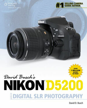 David Busch's Nikon D5200 Guide to Digital Slr Photography by David D. Busch