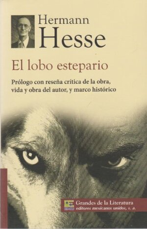 El lobo estepario by Hermann Hesse