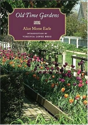 Old Time Gardens by Alice Morse Earle