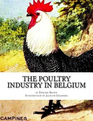 The Poultry Industry in Belgium by Edward Brown