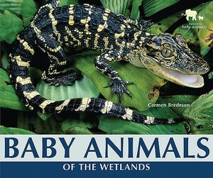 Baby Animals of the Wetlands by Carmen Bredeson