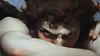 zuzu152's profile picture