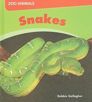 Snakes by Debbie Gallagher
