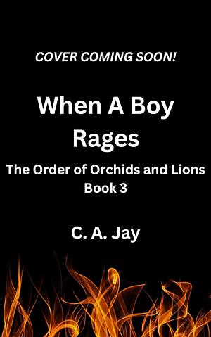 When A Boy Rages by C.A. Jay