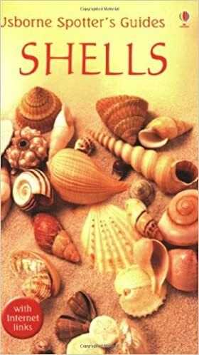 Shells by Graham D. Saunders