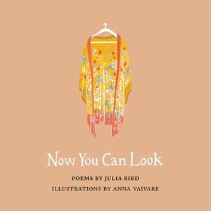 Now You Can Look by Anna Vaivare, Julia Bird