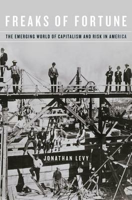 Freaks of Fortune: The Emerging World of Capitalism and Risk in America by Jonathan Levy