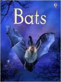 Bats by Megan Cullis