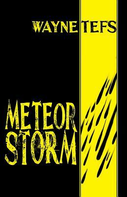 Meteor Storm by Wayne Tefs