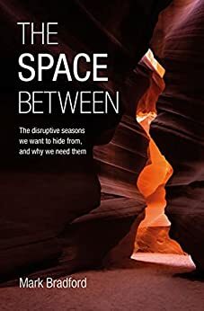 The Space Between: The disruptive seasons we want to hide from, and why we need them by Mark Bradford