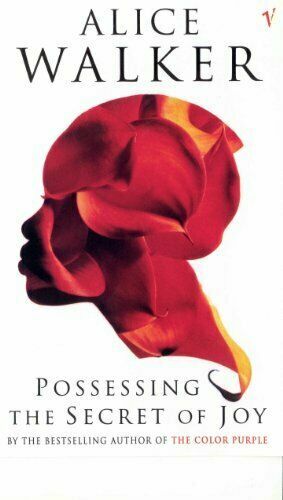 Possessing The Secret Of Joy by Alice Walker