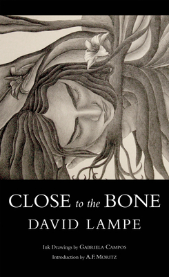 Close to the Bone by David Lampe