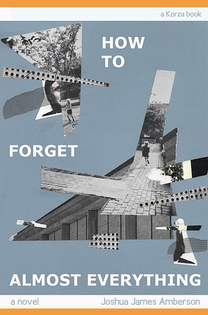 How To Forget Almost Everything by Joshua James Amberson