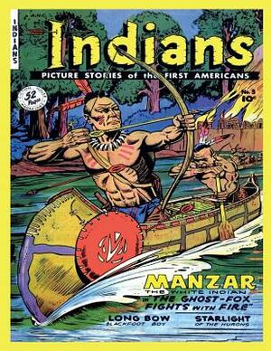 Indians #3 by Fiction House