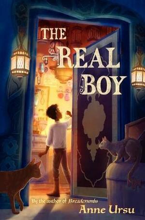 The Real Boy by Anne Ursu, Erin Mcguire