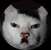 pinteaalec's profile picture