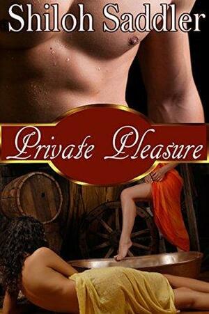 Private Pleasure by Shiloh Saddler