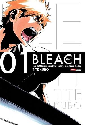 Bleach Remix. Vol. 01 by Tite Kubo