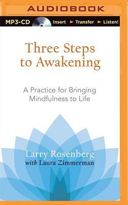 Three Steps to Awakening: A Practice for Bringing Mindfulness to Life by Larry Rosenberg