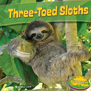 Three-Toed Sloths by Willow Clark