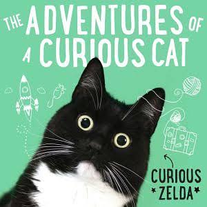 The Adventures of a Curious Cat: Wit and wisdom from Curious Zelda, purrfect for cats and their humans by Curious Zelda