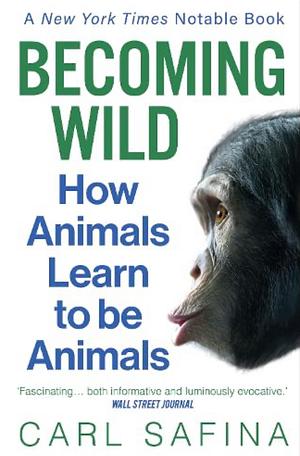 Becoming Wild: How Animals Learn Who They Are by Carl Safina