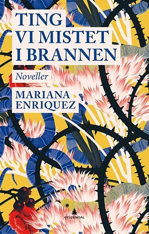 Ting vi mistet i brannen by Mariana Enríquez