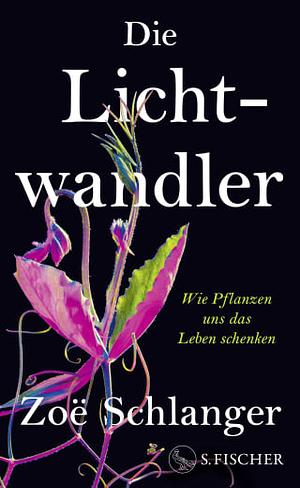 Die Lichtwandler: Wie Pflanzen uns das Leben schenken by Zoë Schlanger