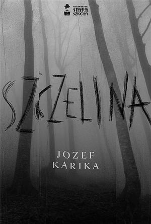 Szczelina by Jozef Karika