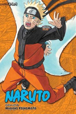 Naruto (3-in-1 Edition), Vol. 19 by Masashi Kishimoto