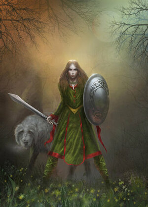 The Celtic Warrior Princess by O.R. Melling