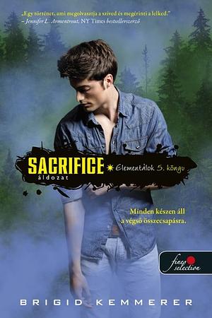 Sacrifice - Áldozat by Brigid Kemmerer