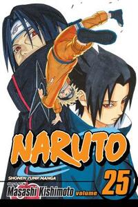 Naruto, Vol. 25: Brothers by Masashi Kishimoto