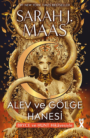 Alev ve Gölge Hanesi by Sarah J. Maas