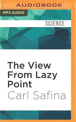 The View from Lazy Point by Carl Safina