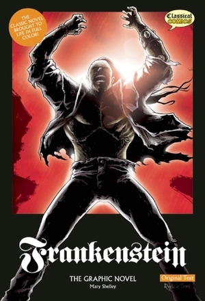 Frankenstein – The Graphic Novel (Original Text) by Mary Shelley