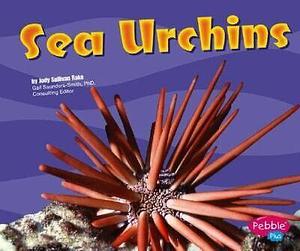 Sea Urchins by Jody Sullivan Rake