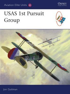 USAS 1st Pursuit Group by Jon Guttman