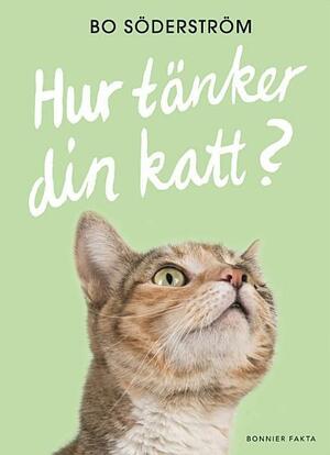 Hur tänker din katt? by Bo Söderström