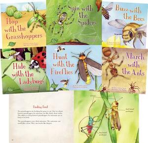 A Bug's World Set by Karen Kenney