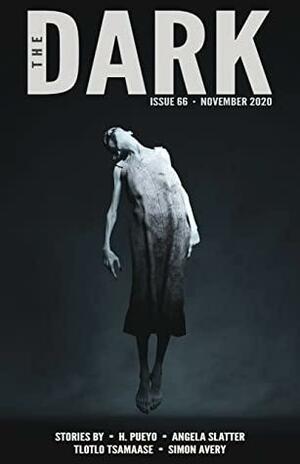 The Dark Magazine, Issue 66: November 2020 by Sean Wallace, H. Pueyo, Tlotlo Tsamaase, Simon Avery, Angela Slatter