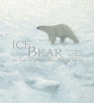 Ice Bear: In the Steps of the Polar Bear by Nicola Davies, Gary Blythe